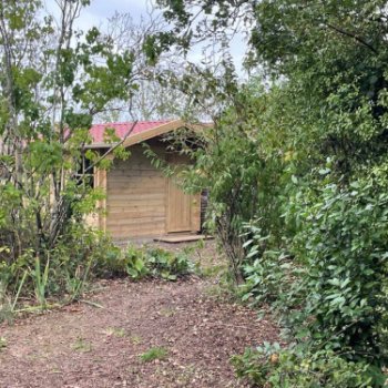 Abri de jardin en bois 2 pentes